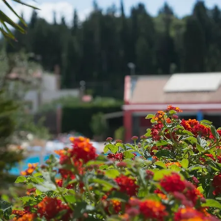 Szálloda Olympion Village