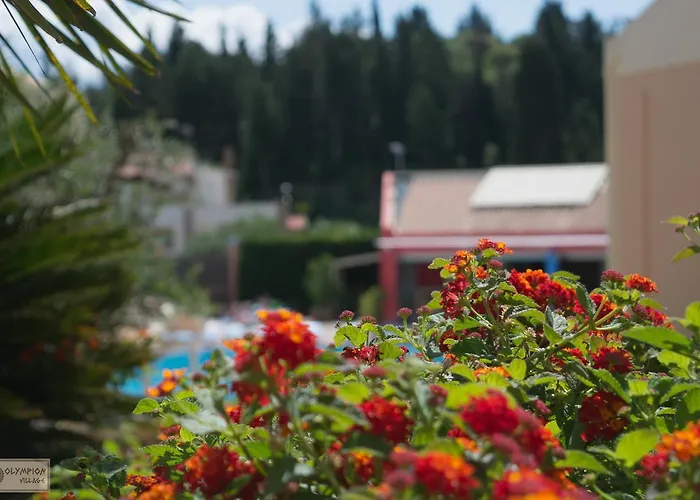 Hotel Olympion Village