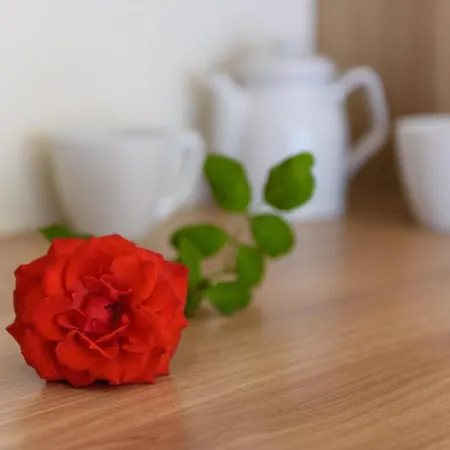 Olympion Village Hotel Kávos