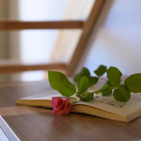 Hotel Olympion Village 3*